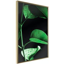 Arkiio Affisch Plant in Black [Poster] 30x45 Poster